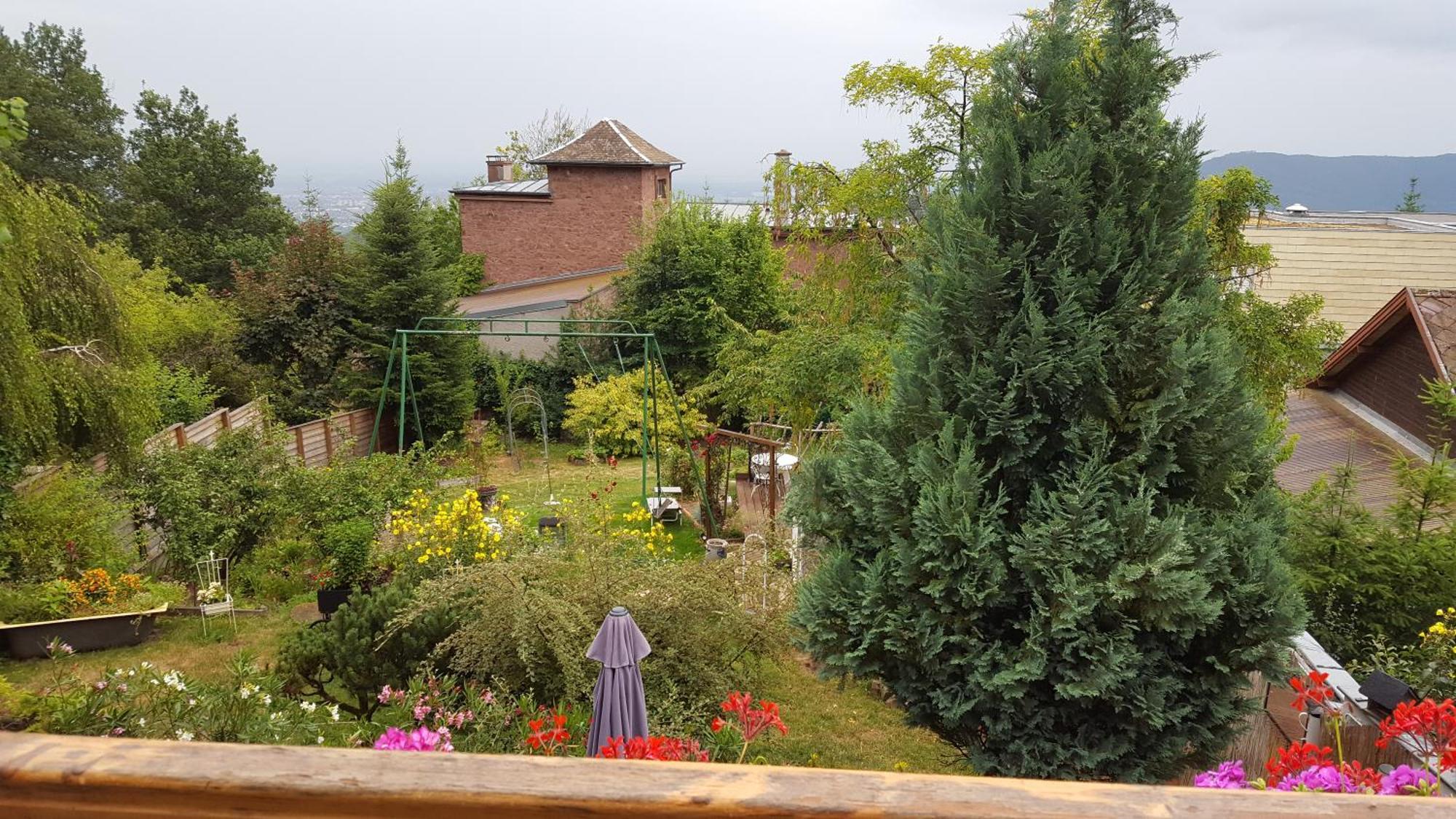 Niedermorschwihr Les Iris Chambres D'Hote الغرفة الصورة